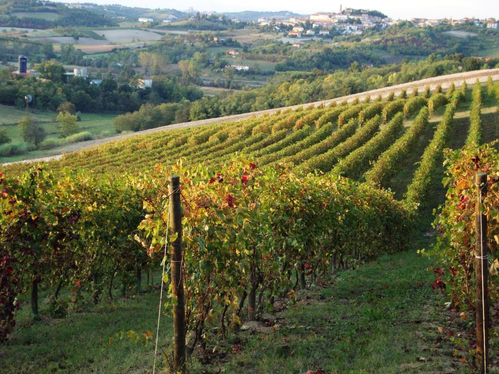 La Commedia Della Pentola Pension Lu (Piedmont) Buitenkant foto